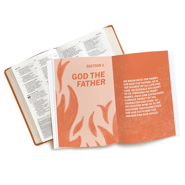 I Am Who I Am - Teen Devotional: Getting to Know the Names of God