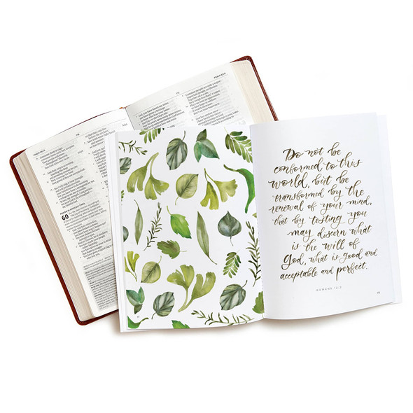 TruthFilled - Bible Study Book with Video Access