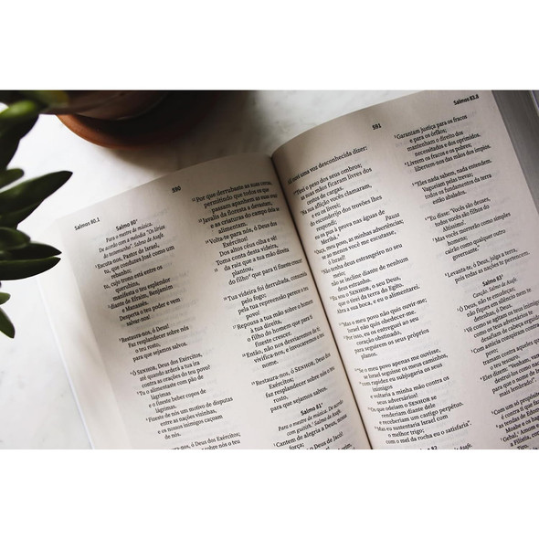 NVI, Portuguese NVI Bible, Paperback: Biblia Sagrada Nova Versao Internacional - Case of 20