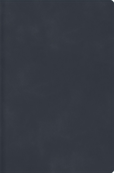 RVR 1960 Biblia Descubre tu Fe, simil piel gris azulado - Case of 12