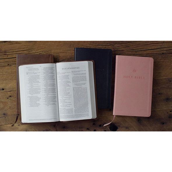 ESV Premium Church Bible, TruTone - Case of 24