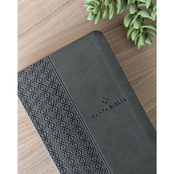 NTV: Biblia Valor Premium con Filament (Spanish Premium Bible, SentiPiel, Gray) - Case of 24
