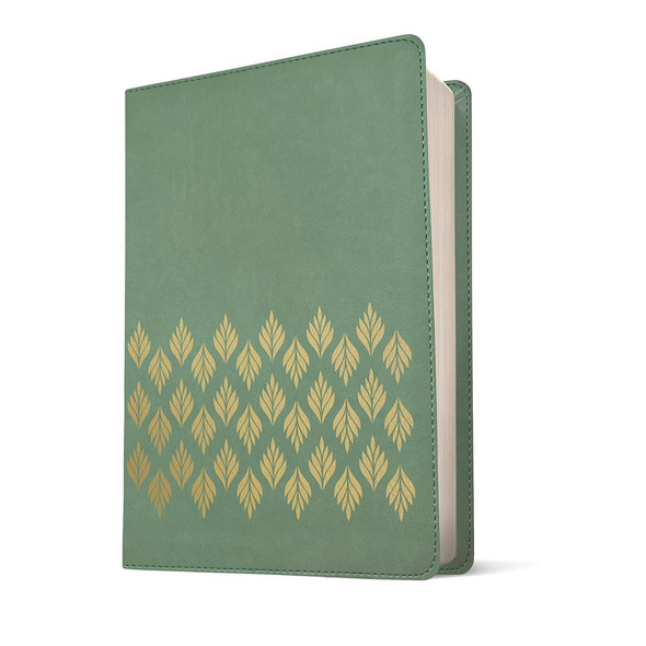 The Message Devotional Bible, Large Print (Imitation Leather, Sage Green), Case of 10