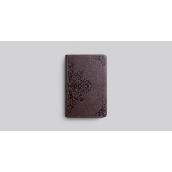 ESV Premium Gift Bible (TruTone Leather, Raspberry, Chestnut) - Bulk Case of 24