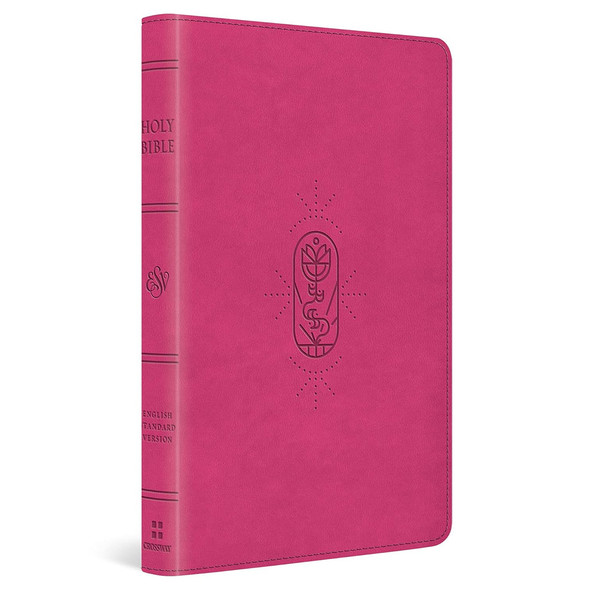 ESV Kid's Bible, Thinline, Red Letter (TruTone, Berry, The True Vine Design) - Case of 12