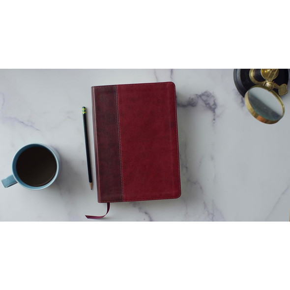 ESV Single Column Journaling Bible, Large Print (TruTone Burgundy/Red) - Case of 10