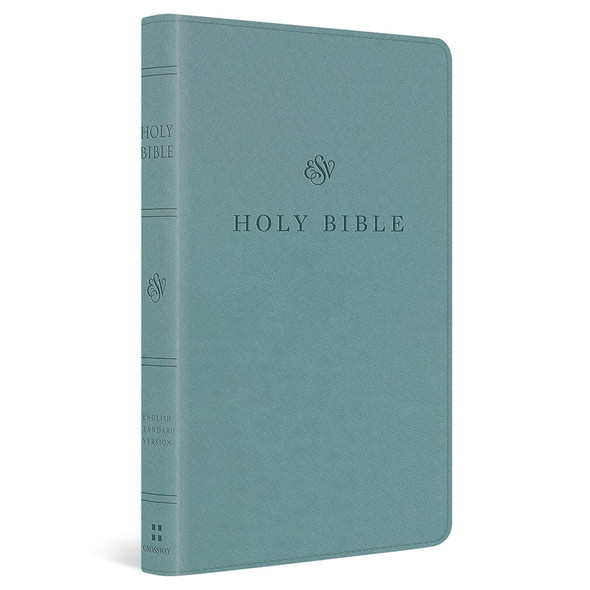 ESV Premium Church Bible, TruTone, Paris Sky - Case of 24