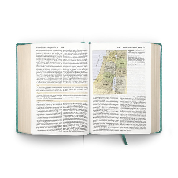ESV Study Bible (TruTone, Turquoise, Emblem Design) - Case of 6