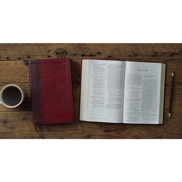 ESV Large Print Thinline Bible, TruTone, Burgundy/Red, Timeless Design - Case of 14