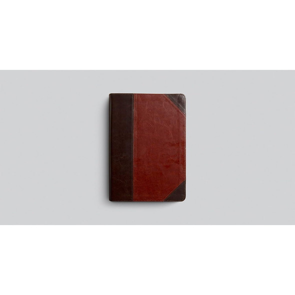 ESV Men's Study Bible (TruTone, Brown/Cordovan, Portfolio Design) - Case of 10