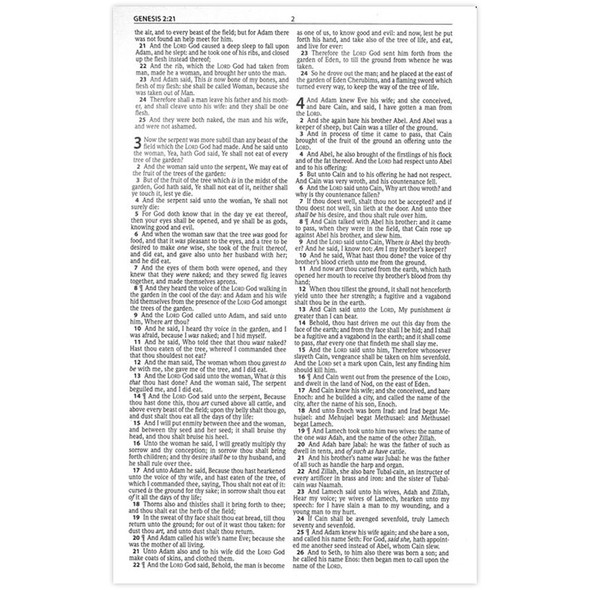 Outreach Bible - KJV (Soft Cover) - Case of 24