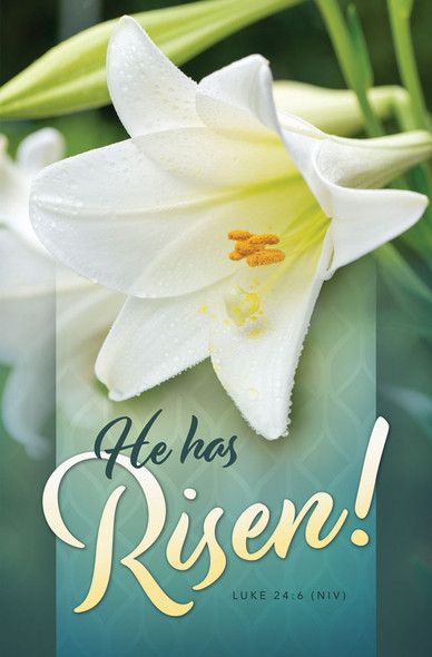 Church Bulletin 11" - Easter - He Has Risen! (Pack of 100)