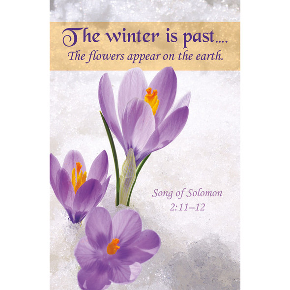 Church Bulletin 11" - Praise & Worship - The Winter Is Past (Pack of 100)