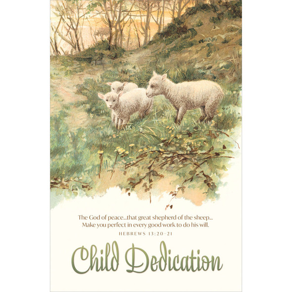 Bulletin 11" Child Dedication The God of peaceÌ¢‰âÂå_Make you perfect in every good work (Pack of 100)
