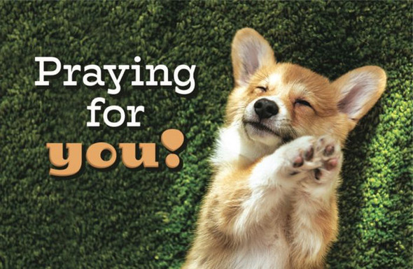 Postcards Kids Praying for You We are praying for you (Pack of 25)