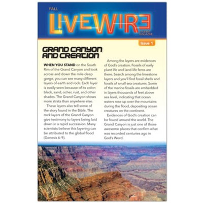 HeartShaper - PreTeen Live Wire Take-Home - Fall 2026