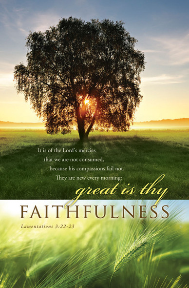 Church Bulletin 11" - Inspirational - Praise -  Lamentations 3:22-23 (Pack of 100)