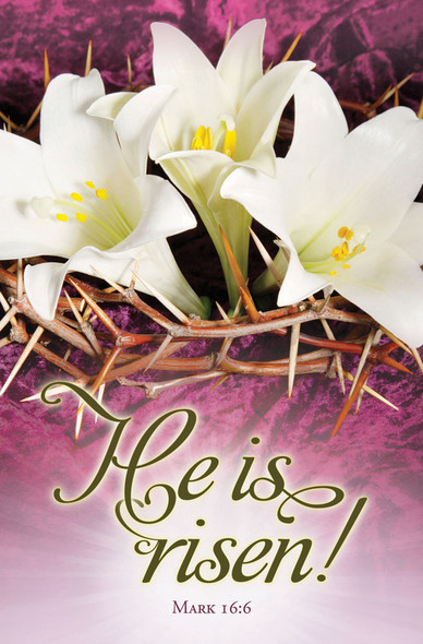 Church Bulletin 11" - Easter - He Is Risen! (Pack of 100)