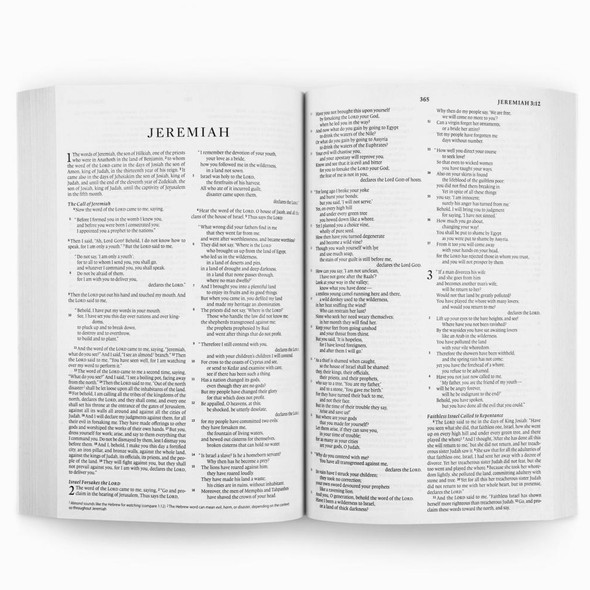 ESV Outreach Economy Bible (Softcover - Case of 40)