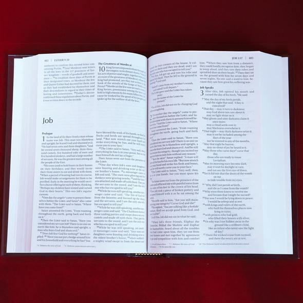 NIV Value Pew Bible (Hardcover, Burgundy - Case of 16)