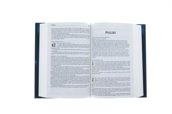 The Book - NLT Bible - Hardcover (Case of 20)