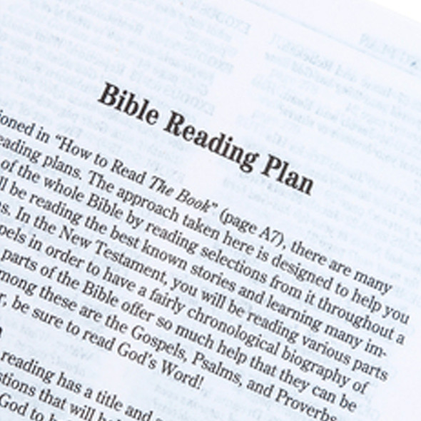 The Book - NLT Bible - Softcover (Case of 12)