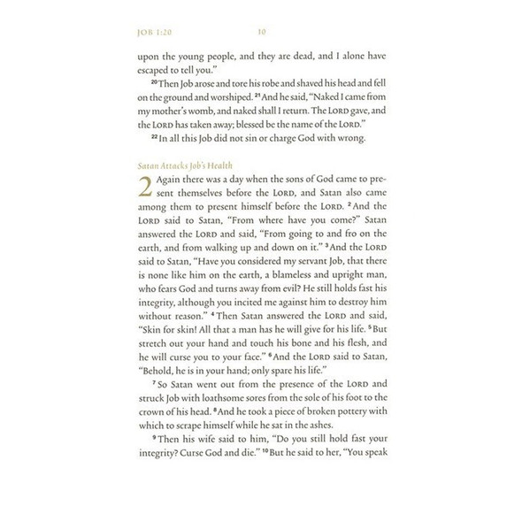 ESV Illuminated Scripture Journal: Job (Paperback) - Case of 50