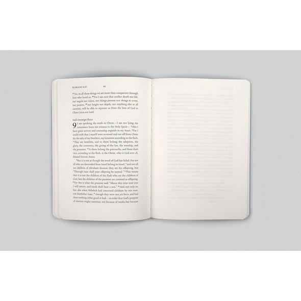 ESV Scripture Journal: Romans (Paperback) - Case of 50