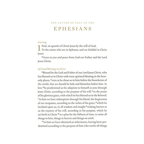 ESV Illuminated Scripture Journal: Ephesians (Paperback) - Case of 50