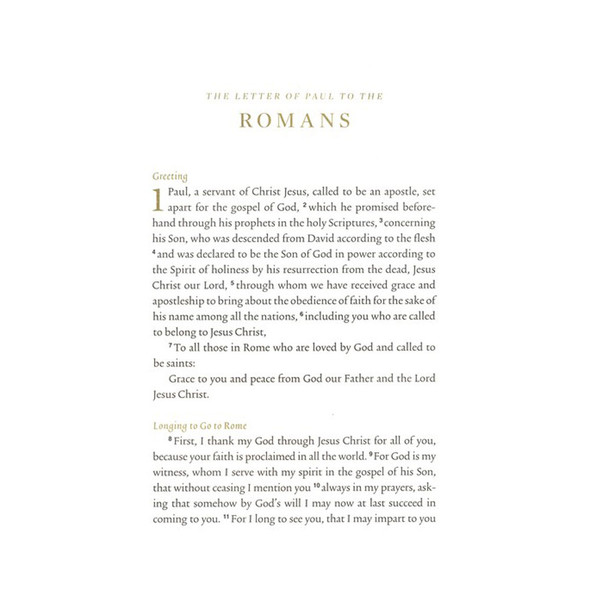 ESV Illuminated Scripture Journal: Romans (Paperback) - Case of 50