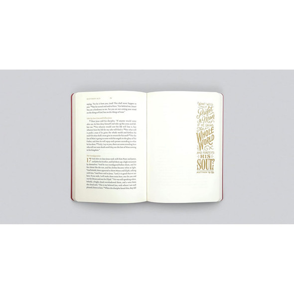 ESV Illuminated Scripture Journal: Matthew (Paperback) - Case of 50