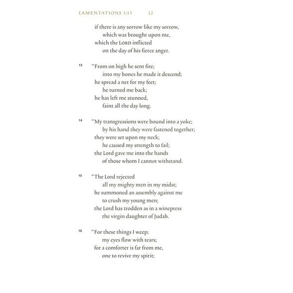 ESV Illuminated Scripture Journal: Lamentations (Paperback) - Case of 50