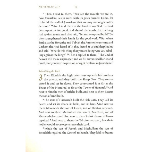 ESV Illuminated Scripture Journal: Nehemiah (Paperback) - Case of 50