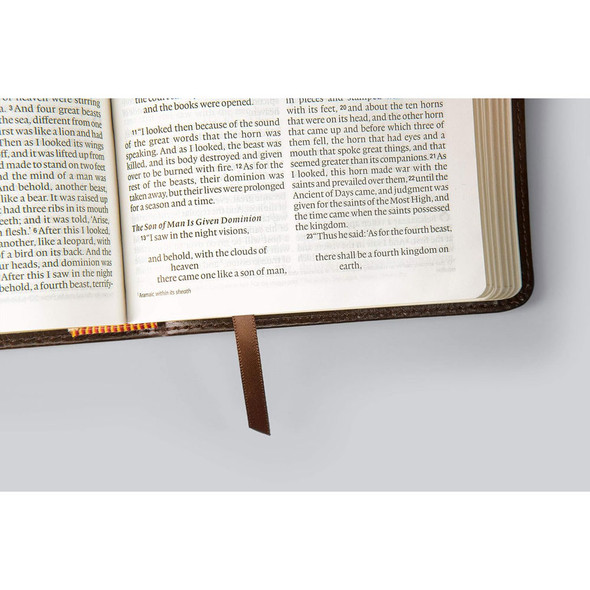 ESV Large Print Compact Bible (TruTone, Berry, Floral Design) - Case of 28