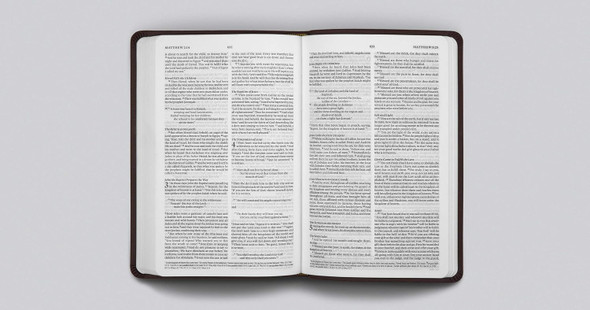 ESV Value Thinline Bible (TruTone, Chestnut, Filigree Design) - Case of 32