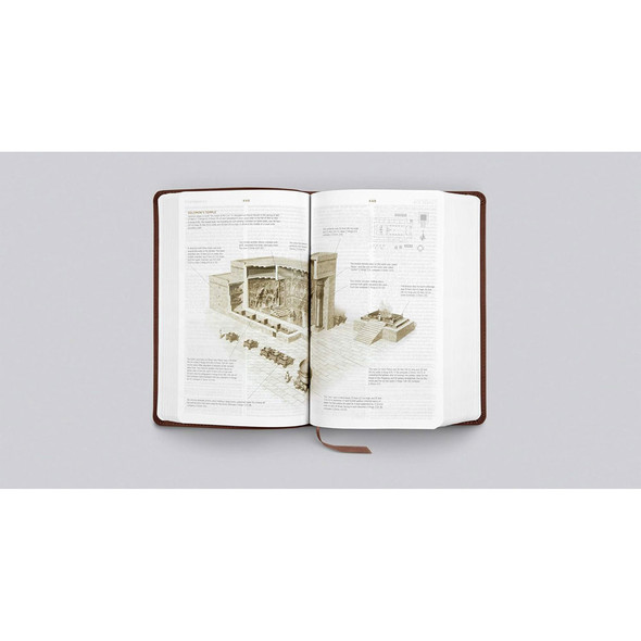 ESV Student Study Bible (TruTone, Chestnut) - Case of 12