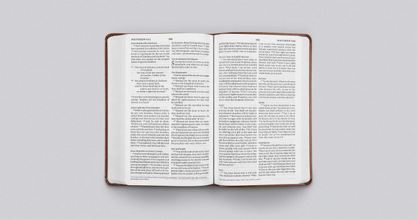 ESV Large Print Value Thinline Bible (TruTone, Chestnut) - Case of 16