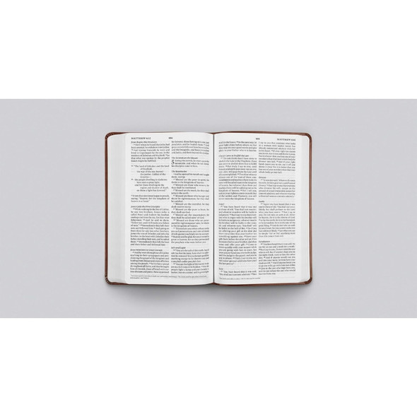 ESV Large Print Value Thinline Bible (TruTone Leather, Chestnut) - Bulk Case of 16