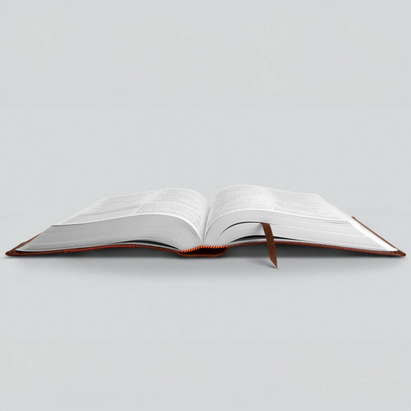 ESV Student Study Bible (TruTone, Brown/Cordovan, Portfolio Design) - Case of 12