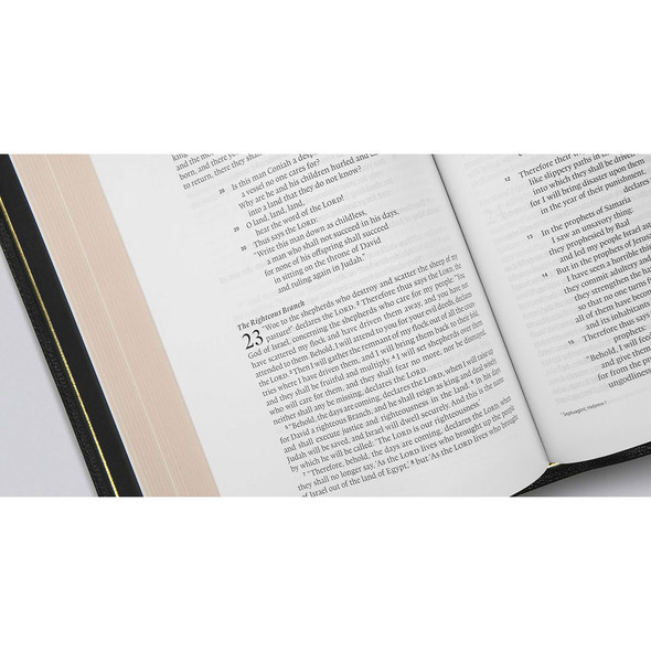 ESV Preaching Bible (Goatskin, Black) - Case of 10