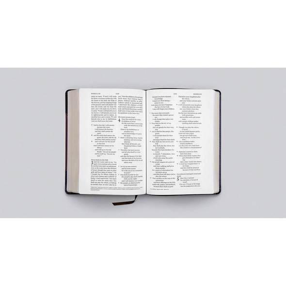 ESV Large Print Wide Margin Bible (TruTone, Brown/Cordovan, Portfolio Design) - Case of 10