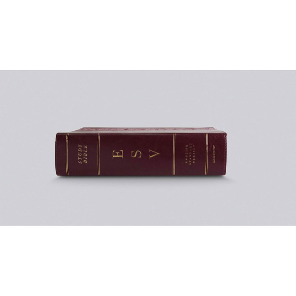 ESV Study Bible, Large Print (TruTone, Mahogany, Trellis Design) - Case of 6