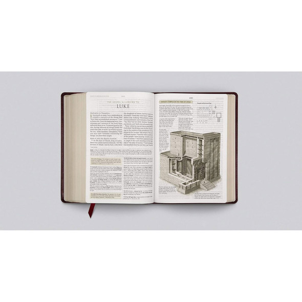 ESV Study Bible, Large Print (TruTone, Mahogany, Trellis Design) - Case of 6