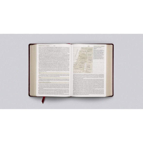 ESV Study Bible, Large Print (TruTone, Mahogany, Trellis Design) - Case of 6