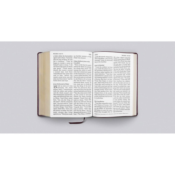 ESV Super Giant Print Bible (TruTone, Burgundy) - Case of 6