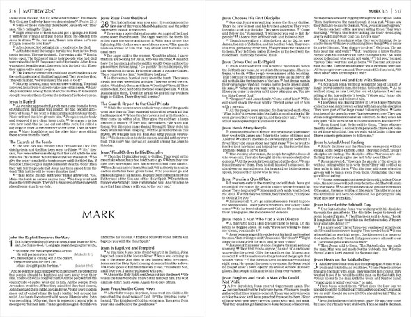 NIrV Economy Outreach New Testament, Small Print (Softcover, Green) - Bulk Case of 40