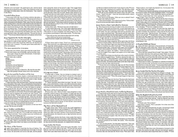 NIrV Economy Outreach New Testament, Small Print (Softcover, Green) - Bulk Case of 40