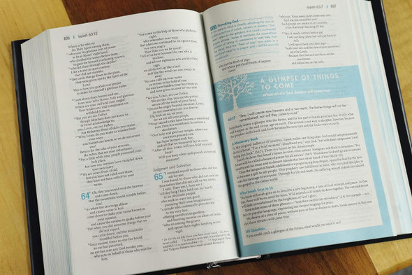 NIV Student Bible (Compact Hardcover - Case of 20)