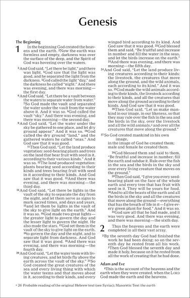 NIV Value Outreach Bible (Paperback, Red/Blue Stripes) - Bulk Case of 32