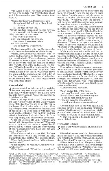 NIV Value Outreach Bible (Paperback, Red/Blue Stripes) - Bulk Case of 32